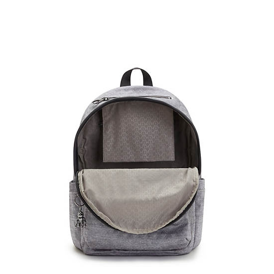 Kipling Delia Klassieke Rugzak Zilver | BE 1555EB